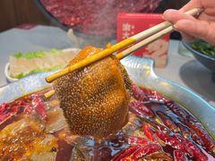 -渝大龙重庆火锅(温泉月亮湾店)