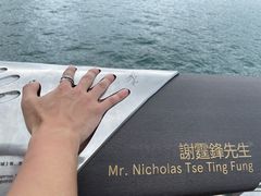 -星光大道