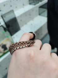 -Moni星球萌宠·小马宝莉·灵蛇·高端高阶全萌宠互动体验俱乐部(红豆国际广场店)