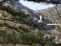 -木兰云雾山