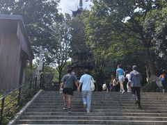 -上海佘山国家森林公园西佘山园