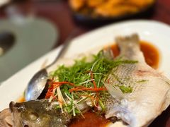 港式清蒸海鲈鱼-汕头龙光喜来登酒店-采悦轩中餐厅