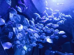 -成都浩海立方海洋公园