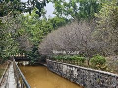 -中山市树木园