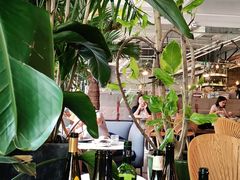 -the rug 飞毯 (朝阳公园店)