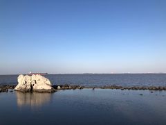 -上海吴淞炮台湾国家湿地公园