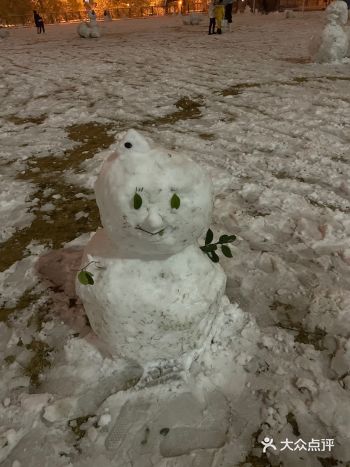 从来没见过这么厚的积雪