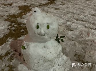 从来没见过这么厚的积雪