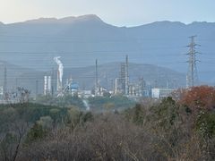 -白水寺森林公园