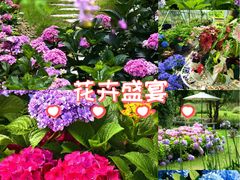-嘉北郊野公园