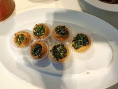 -席家花园(巨鹿花园店)