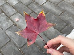 -香山公园