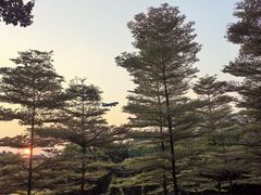 -厦门悦华酒店