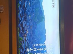-富正毅三下锅·湘西韵味(天门山索道店)