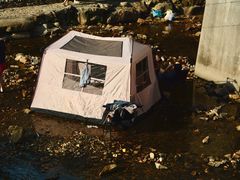 -北仑森林植物园