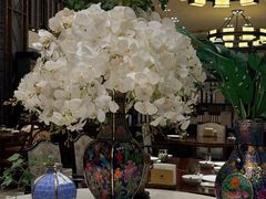 -南堂馆·新川菜(天府三街店)