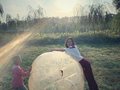 -东方巨龟苑景区