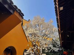 -龙华寺