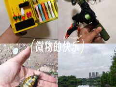 -重庆彩云湖湿地公园