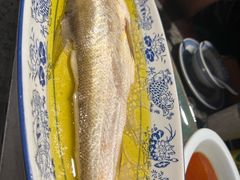 鸡汁白鱼-南京大牌档(人民广场店)