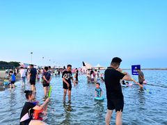 -碧海金沙