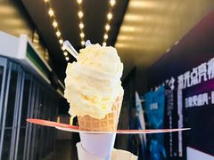 -野人先生现做冰淇淋(北京顺义祥云小镇店)