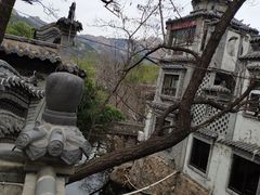 -老张烤羊(王哥庄店)