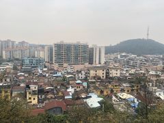 -黄连大头华烧鹅店(大良店)