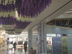 -深圳龙华星河COCO City(民治店)