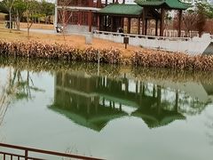 -王借岗森林公园