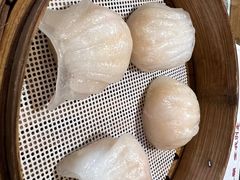 -憶廟街 X 沙角邨(太古城店)
