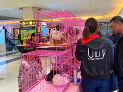 -北京华联购物中心(同成街店)