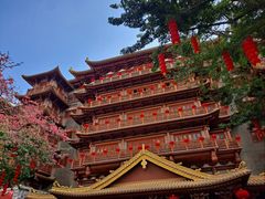 -越秀西湖花市(广州城市广场花卉店)