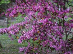 -福建鲤鱼洲酒店