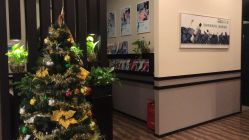 -史云逊养发护发