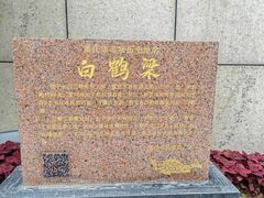 -白鹤梁水下博物馆