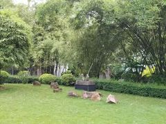 -晓港公园