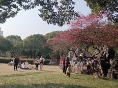 -花溪公园