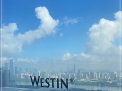 -广交会威斯汀酒店