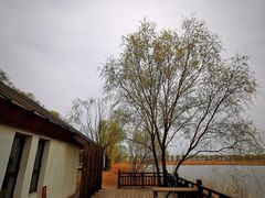 -野鸭湖国家湿地公园