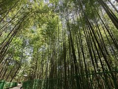 -四门塔风景区