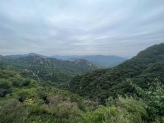-大岭沟猕猴桃谷风景区