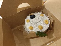 -野草莓自由市场