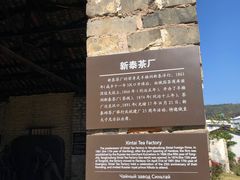 -羊楼洞