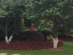 -玉树公园