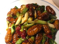 炒蚕蛹-日丰园海肠水饺·老字号大连海鲜(和平广场店)
