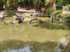 -汇龙潭