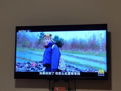 -两棵枇杷树