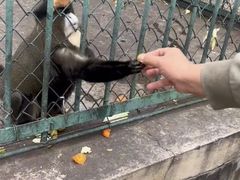-秦皇岛野生动物园