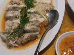 -新海利海鲜城·41年珠海老字号(夏湾店)